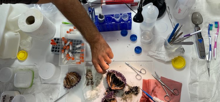 ATLASea sampling in Leucate (Mediterranean Sea)