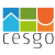 Group logo of CeSGO