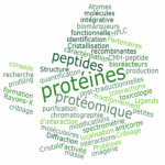 Group logo of Axe Protéomique Biogenouest