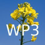 Group logo of Rapsodyn : WP3 - Genetic and molecular determinants of OSR adaptation to N constraints