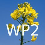 Group logo of Rapsodyn: WP2 – Acquisition of knowledge on winter OSR functioning under low N input